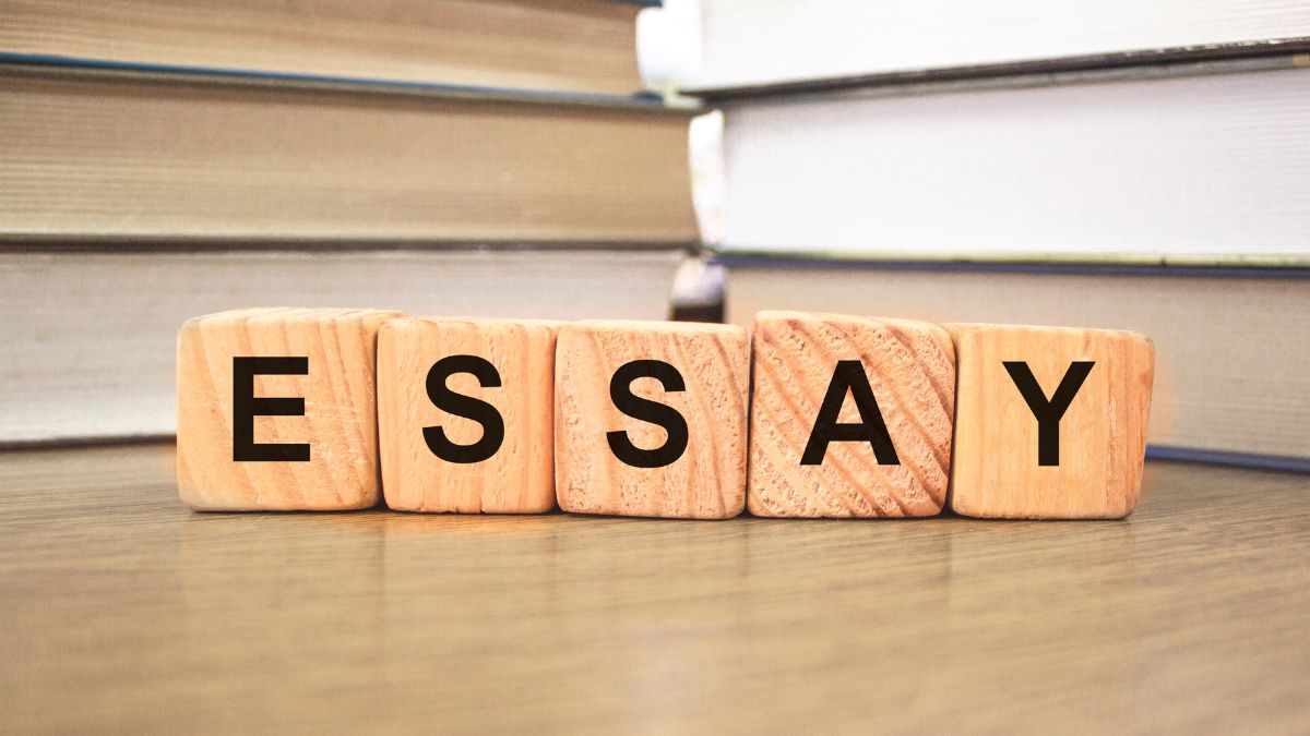 what is essay writing and its part