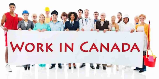 Group of diverse people holding work in Canada sign representing employment rights